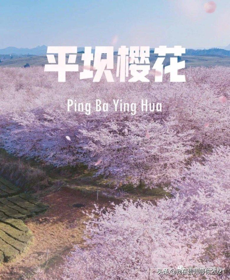 学生票绑定过一次回家现在返校还要重新绑定吗？游戏画面