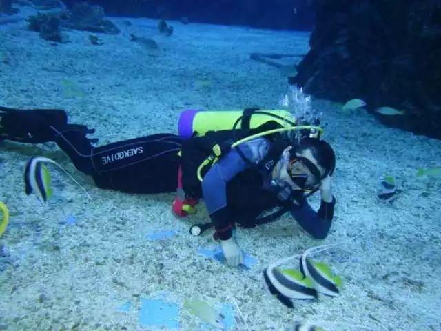 联合国国际法院要求防止在加沙出现种族灭绝行为