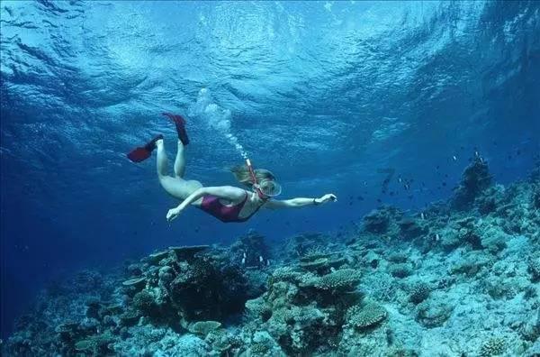 夏季热带海滩逃生