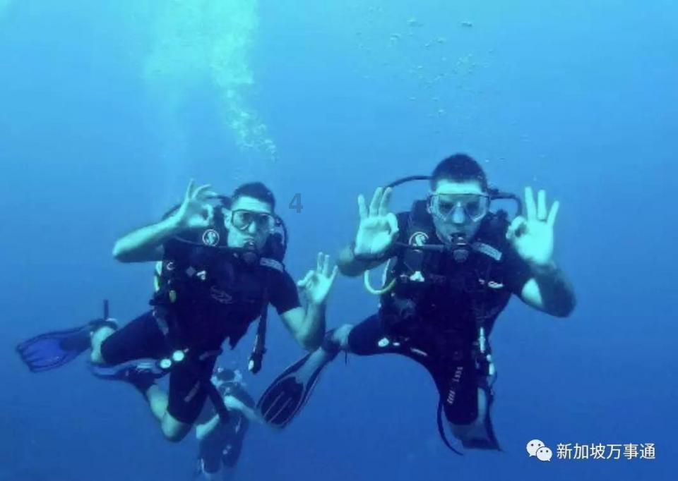 东吴国力是蜀汉两倍，为何陆逊不北伐？