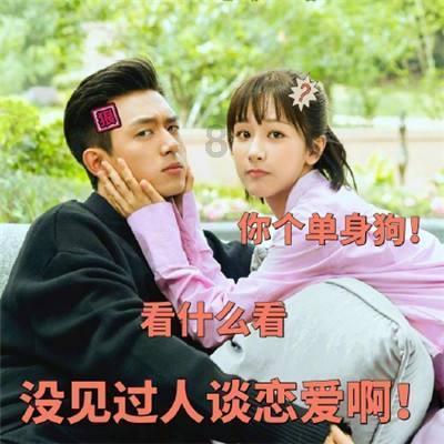 兔兔能吃猫粮吗