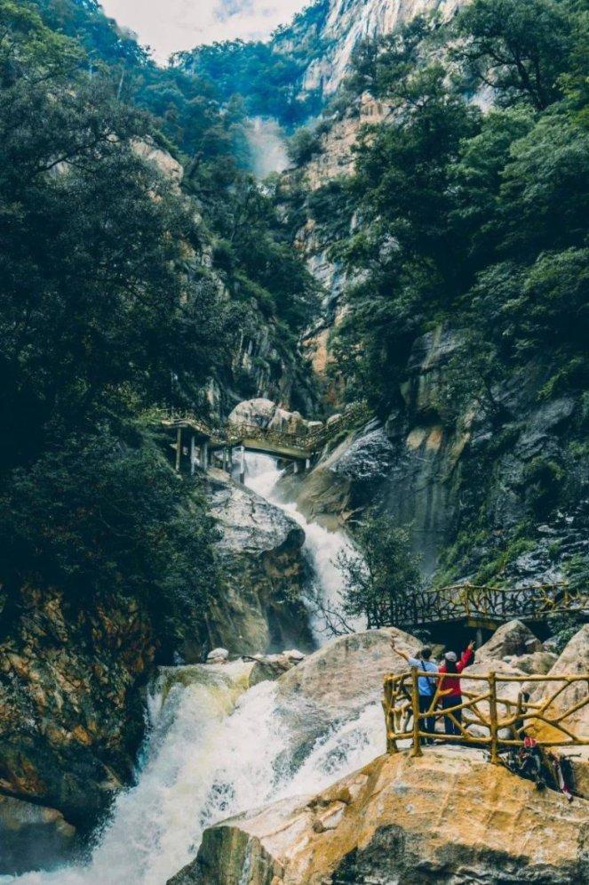 僵尸顶顶乐