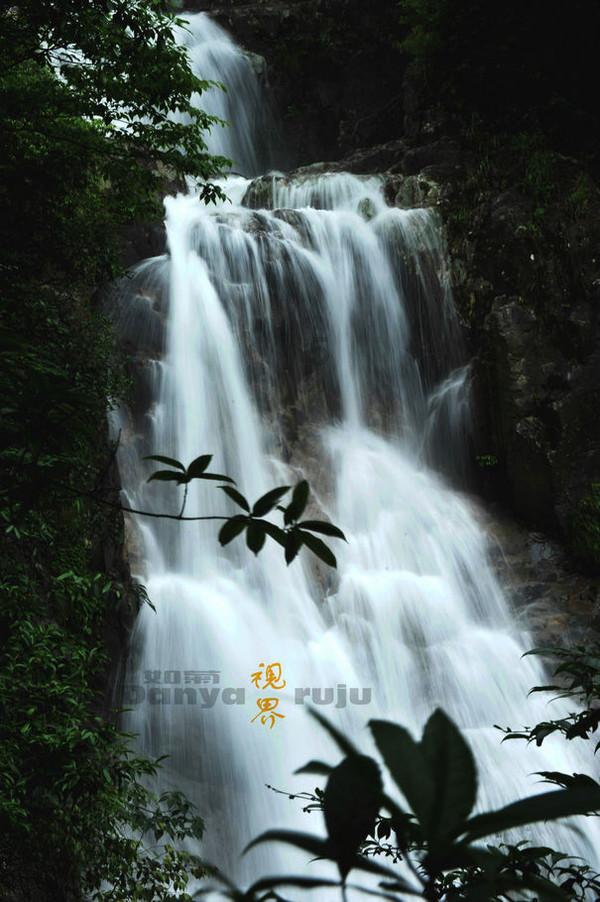 春雨直播app