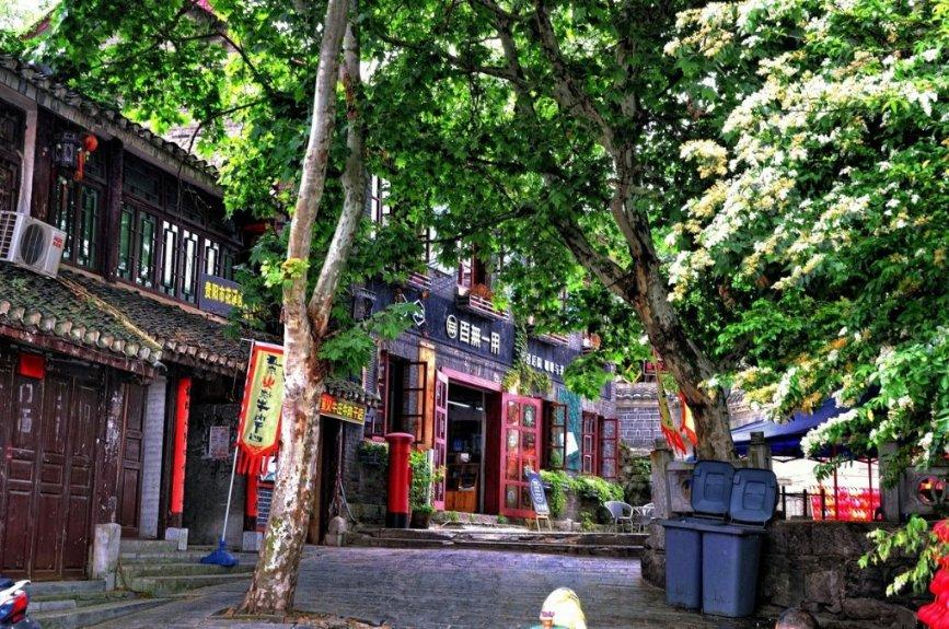沾化公安成功破获系列“拉车门”盗窃案